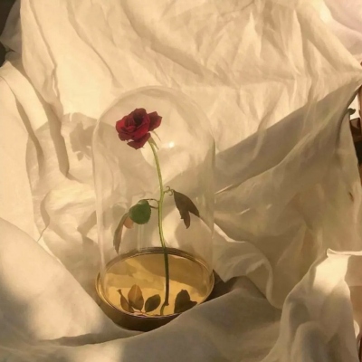 我能唱歌，因为我并不孤单！