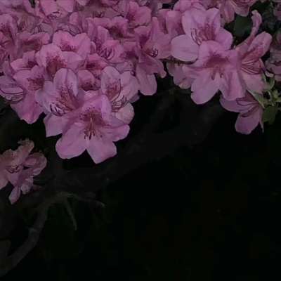 <p>好梦向来易醒。</p>