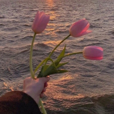 <p>世界不完美 所以才显得美丽</p>