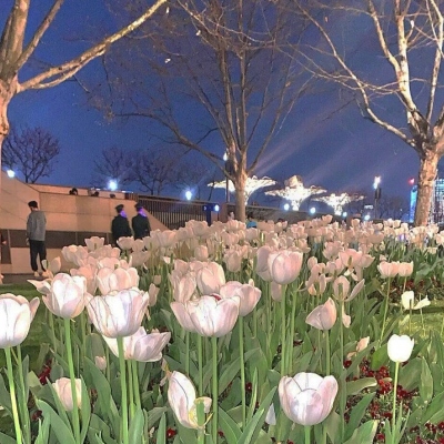 <p>你只要不抬杠，钱真的是万能的。</p>