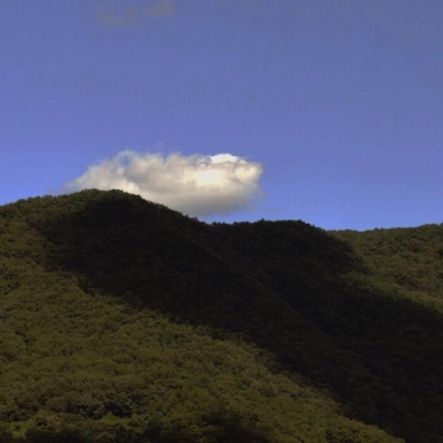 <p>幸运的人一生都在被童年治愈，不幸的人一生都在治愈童年。——阿尔弗雷德·阿德勒</p>