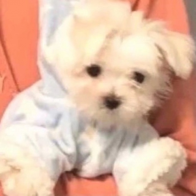 

<p>如果自己都说做不到，而什么都不去做的话，那就更是什么都做不到，什么都不会改变，什么都不会结束。</p>