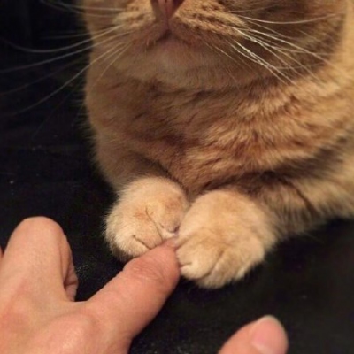 <p>后来，南山的风吹散了谷堆，北海的水淹没了墓碑，你应该仔细回头看我一眼，我又有几分像从前。</p> - 卡通头像 - 12