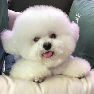 <p>站起来，站起来啊，给我站起来啊！</p>