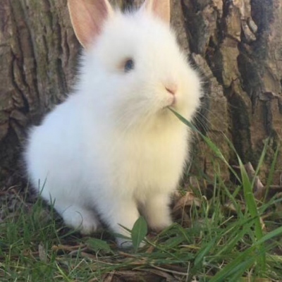 <p>宣纸泛黄，时间流逝，即使眨眼即过，也要抓住那瞬间的辉煌。——原创</p> - 卡通头像 - 12