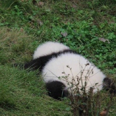 <p>用力啊，不要停，给我大丁丁</p>
