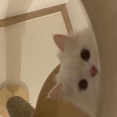 <p>身在福中不知福是什么？就是发福快发成猪了，还觉得自己身材蛮OK。</p>