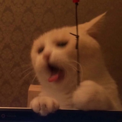 
<p>我要睡觉了要不要一起？</p>