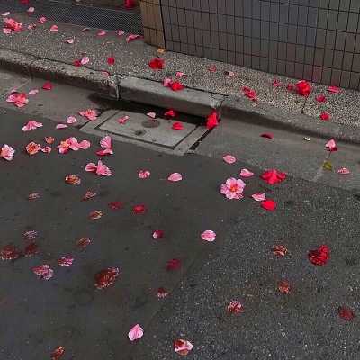 为荣耀而生，为荣誉而死。