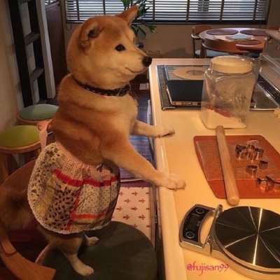 <p>人生最重要的是时机，时机对了，凡事都有可能。</p>
