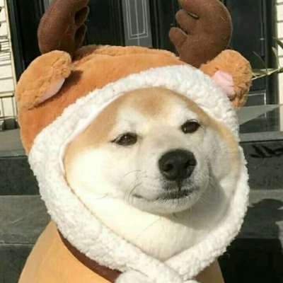 为了爱，与梦想！