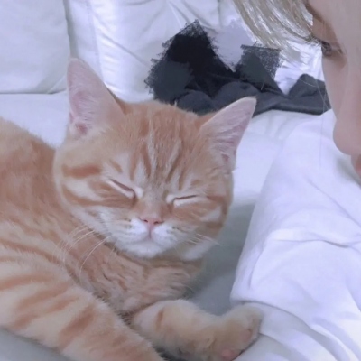 <p>只要你微笑,你心里的我就会陪你一起微笑.</p> - 卡通头像 - 12