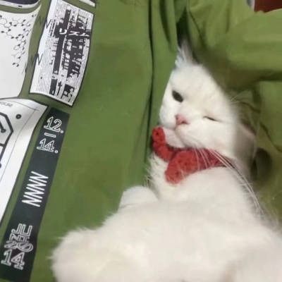 <p>在我们的眼中没有太阳，一直都是夜晚，但却不暗淡，因为有能代替太阳的东西。</p> - 卡通头像 - 12