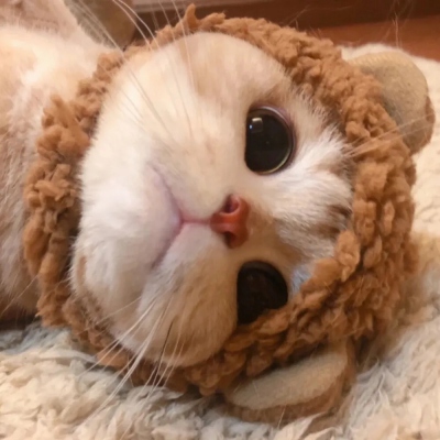 <p>他们彼此深信  是瞬间迸发的热情让他们相遇。这样的确定是美丽的，但变幻无常更为美丽。</p> - 卡通头像 - 12