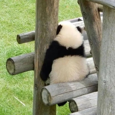 <p>十六岁，我就不相信这个世界了。</p>