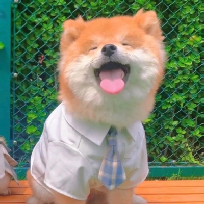 <p>其实，朋友也许就是这个样子：未必要什么天长地久，也未必时时见面联系。在一些时候，可以彼此温暖，彼此慰藉，彼此鼓舞，那就足够了。</p> - 卡通头像 - 12