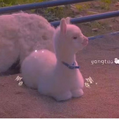 <p>知识是智慧的火炬</p> - 卡通头像 - 12