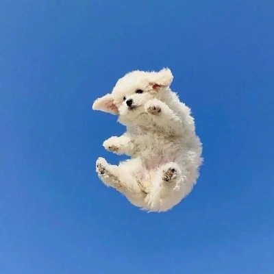 <p>岁月让我知道，除了快递，我谁都不必等。</p> - 卡通头像 - 12