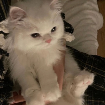 <p>虽然路不同，但目的地是相同的，不管哪条路， 都不好走。</p> - 卡通头像 - 12