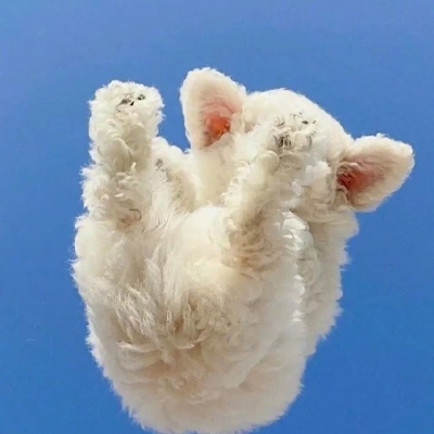 <p>与其害怕面对现实还不如享受现状。</p> - 卡通头像 - 12