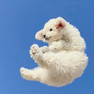 <p>像兰博基尼这些东西，要是出生的时候买不起，这辈子也基本买不起了。</p> - 卡通头像 - 12