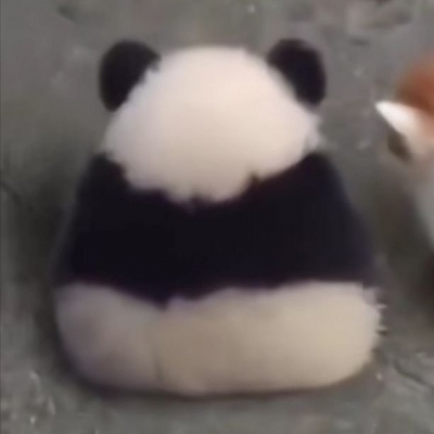 <p>等一条离群太远的深海游鱼 碰到一只 离群太远的蚁——ccdalao</p>