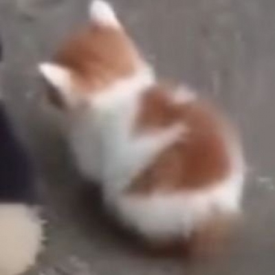 

我们也许再也不会见面了吧，因此我绝对不会忘了你的声音，你的眼眸，与你一起看到过的所有的景色，以及，与你一起度过的那个耀眼的夏天。