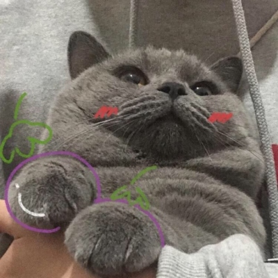 <p>你走！</p>