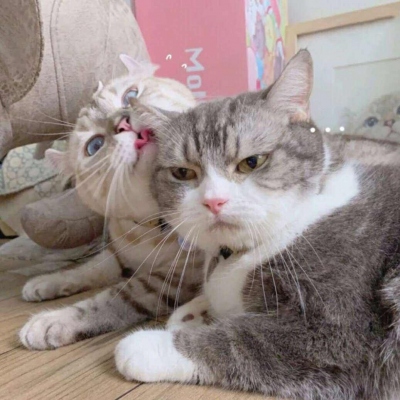 

<p>一个人有两个我，一个在黑暗中醒着，一个在光明中睡着。——纪伯伦</p>