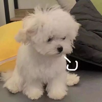 <p>没有人是傻瓜，只是有时候，我们选择装傻来感受那一点点叫做幸福的东西。</p>