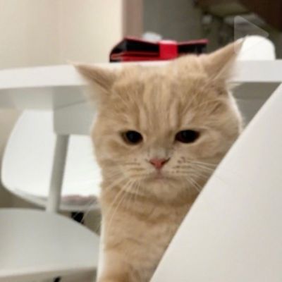 <p>因为难为情而哭泣的内心，是很美丽的。</p> - 卡通头像 - 12