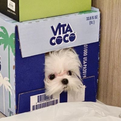 没有一封信不必要被送达，因为没有一份思念不需要被送达。