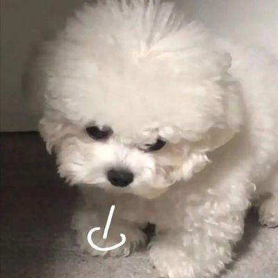 <p>感觉自己是个废物，朋友说要自信一点，把感觉去掉。</p>