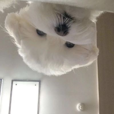 <p>世界上本没有贫穷，富的人多了，我就变成了贫穷。</p>