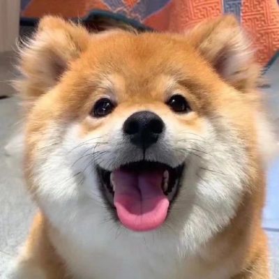 <p>不要试图跟混蛋讲道理，如果他肯跟你讲道理，又怎么会是混蛋。</p>