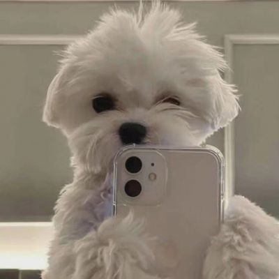 <p>破牛仔裤怎么和晚礼服站在一起，我的吉他怎么可以和你的钢琴合奏。</p>