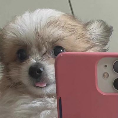 <p>这对你来说，也许是最糟糕的结果了。</p>