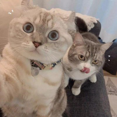 <p>借走的糖，还回的心。你的世界是我最勇敢的一次冒险。</p> - 卡通头像 - 12