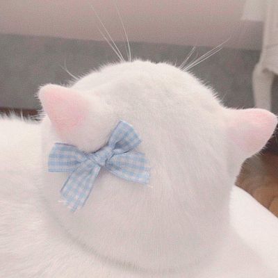 <p>这里，就是人类最后的阵地。</p> - 卡通头像 - 12