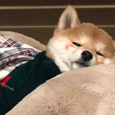 <p>幸运并不是别人给予的，只有自己创造的才叫真正的幸运。</p>