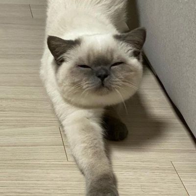 <p>不断的寻找希望，这才是真正的希望。</p>