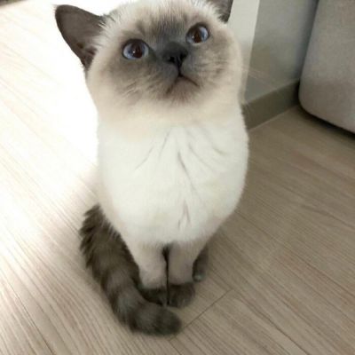 <p>你觉得我穿什么最年轻？纸尿裤。</p>