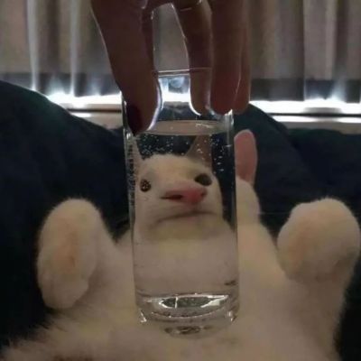 <p>人生最重要的是时机，时机对了，凡事都有可能。</p>