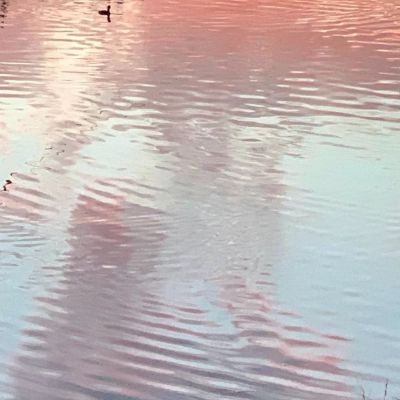 <p>当年不肯嫁春风，无端却被秋风误。——贺铸</p>