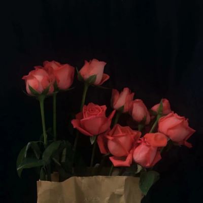 夜来幽梦忽还乡。小轩窗。正梳妆。相顾无言，惟有泪千行。