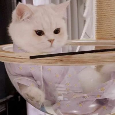 <p>我爱上的人，称我为怪叔叔</p>