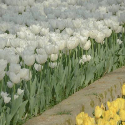 

<p>第一次做人，没经验，所以活成这个狗样子。</p>
