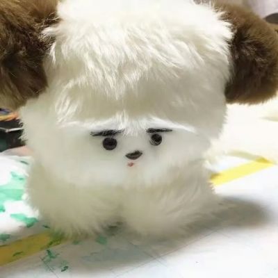 <p>“你知道你喝星星有什么区别吗”“星星在天上”“你在我心里”</p>