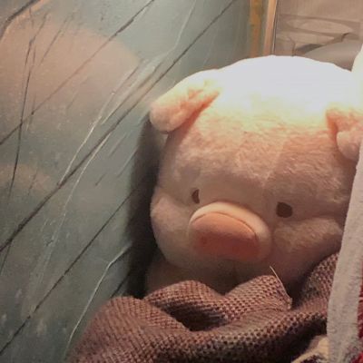<p>人死后会成为什么?夜空中的一座孤岛。——一封孤岛的信</p>