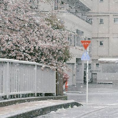 <p>你什么货色，我什么脸色。</p>
